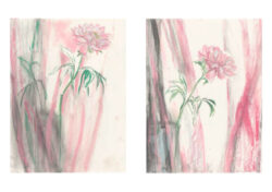 The Drawer n°17 – Image 4