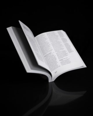 Pli n°05 - Obsession – Image 7