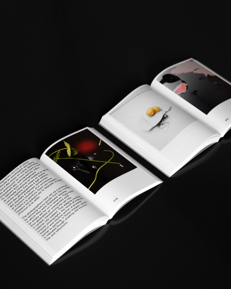 Pli n°05 - Obsession – Image 10