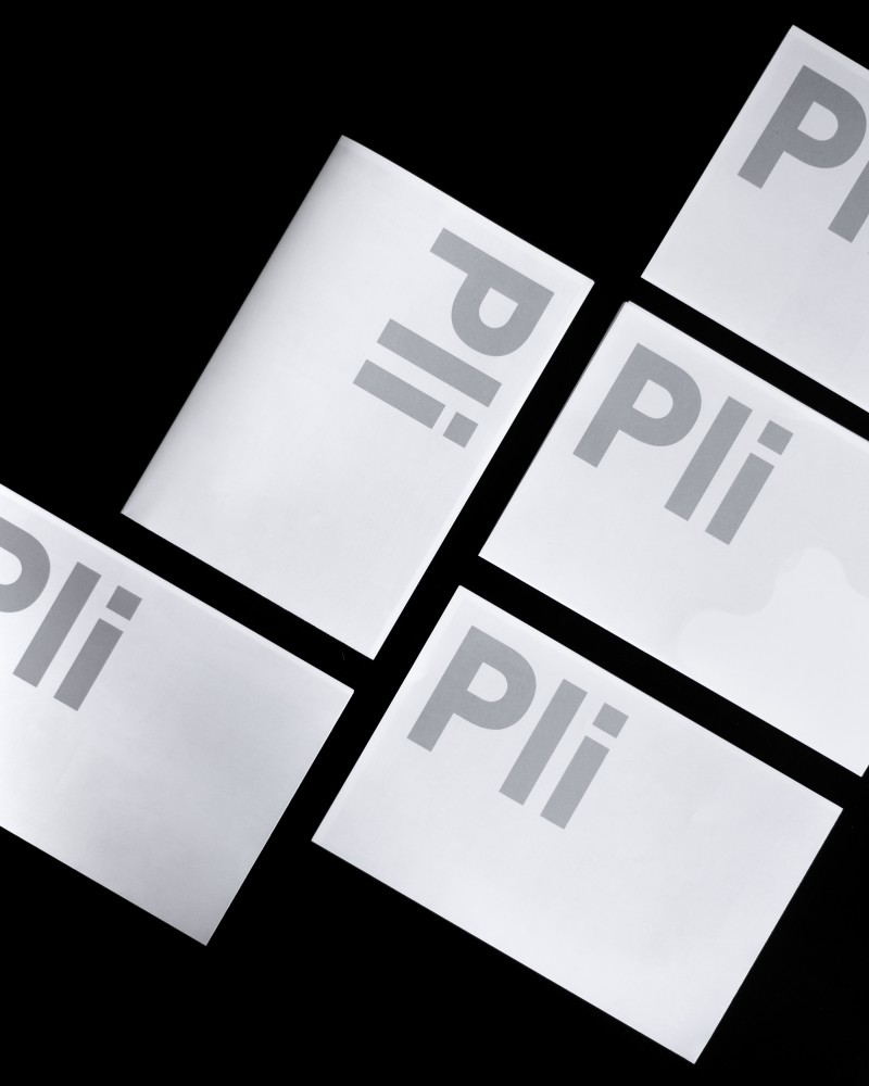 Pli n°05 - Obsession – Image 11