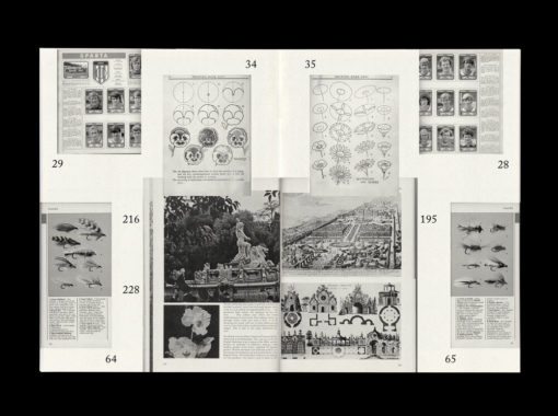 The smoke signal library no.1 - Ruohong Wu & Jose Quintanar – Image 3