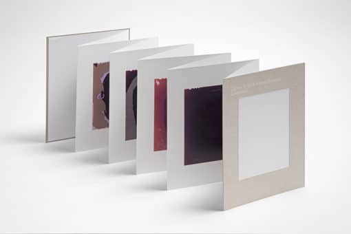 Conservation - Thérèse Verrat & Vincent Toussaint – Image 6