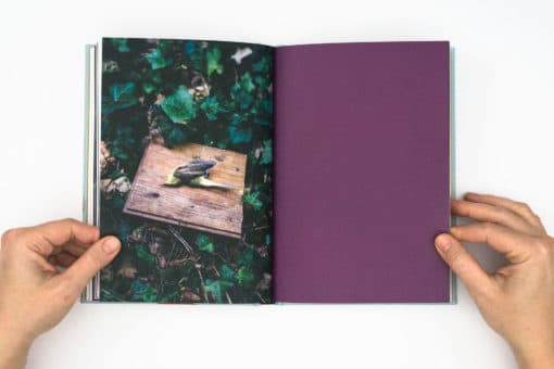 A Sensitive Education - Francesca Todde – Image 7