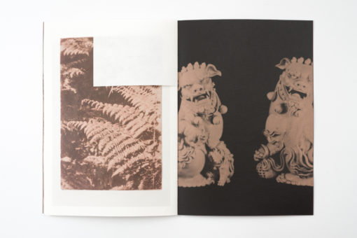 An Inventory Of - Daniele Franzella – Image 8