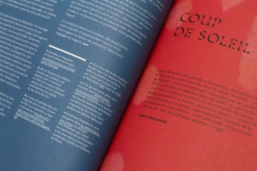 Gros Gris n°5 - Disparition – Image 12