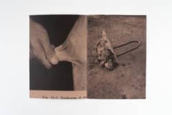 Humoral Fortuities - Francesco Albano’s – Image 2