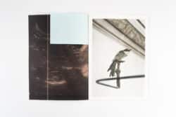 Humoral Fortuities - Francesco Albano’s – Image 3