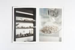 Humoral Fortuities - Francesco Albano’s – Image 4