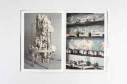 Humoral Fortuities - Francesco Albano’s – Image 6