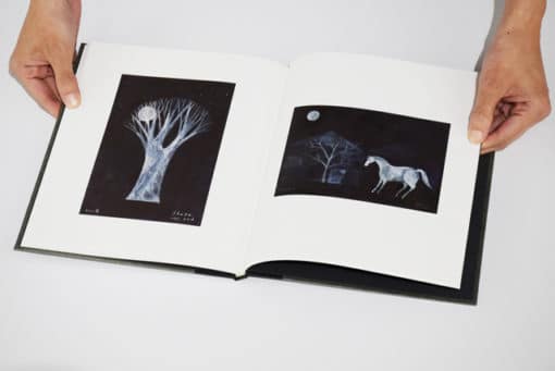Shuku Nishi WORKS – Image 14
