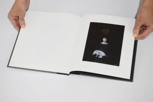 Shuku Nishi WORKS – Image 16