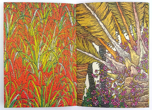 Les succulentes - Clément Vuillier – Image 5