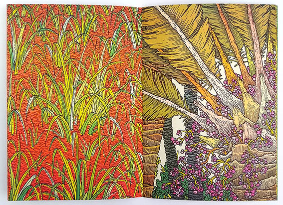 Les succulentes - Clément Vuillier – Image 5