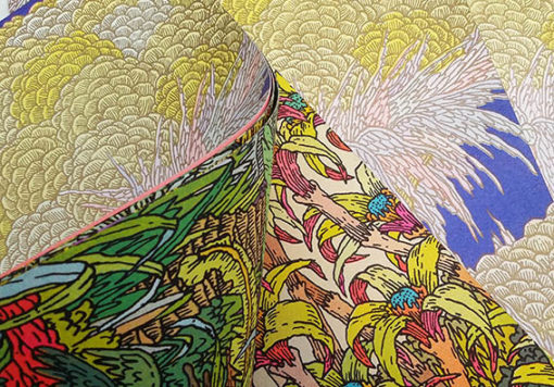 Les succulentes - Clément Vuillier – Image 4