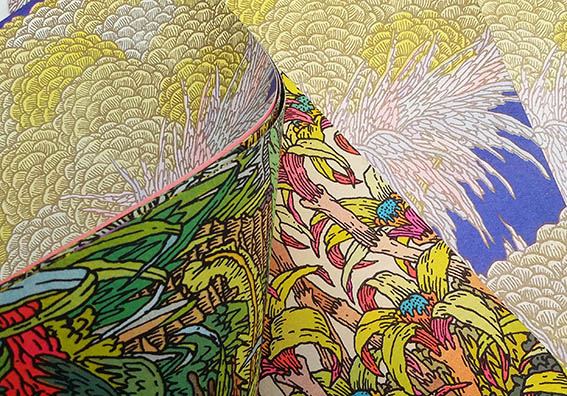 Les succulentes - Clément Vuillier – Image 4