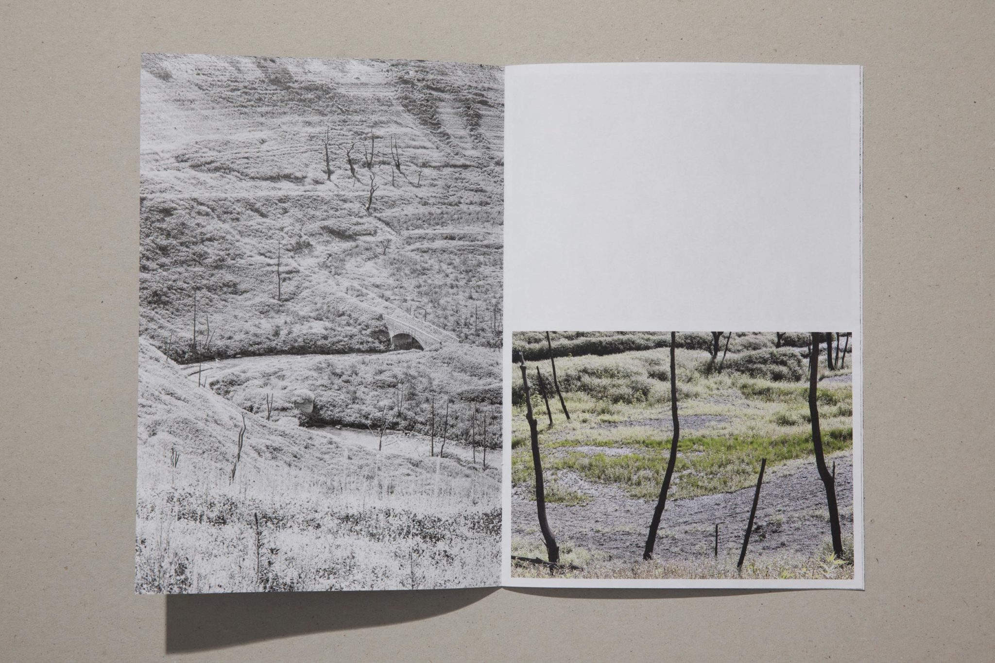 Barrage de Sarrans - Sandrine Marc – Image 2