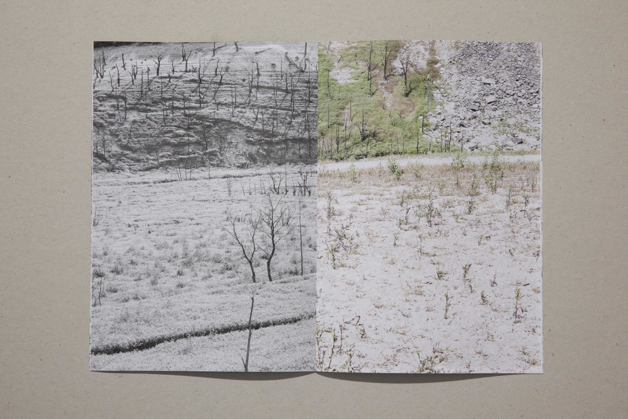 Barrage de Sarrans - Sandrine Marc – Image 3