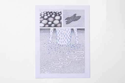 Topoïïï - Claire Nicolet – Image 6