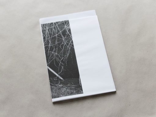 Extrait de Nummer Één - Maud Faivre – Image 3