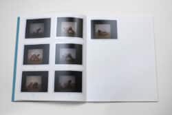 Mariken Wessels — Miss Cox – Image 15