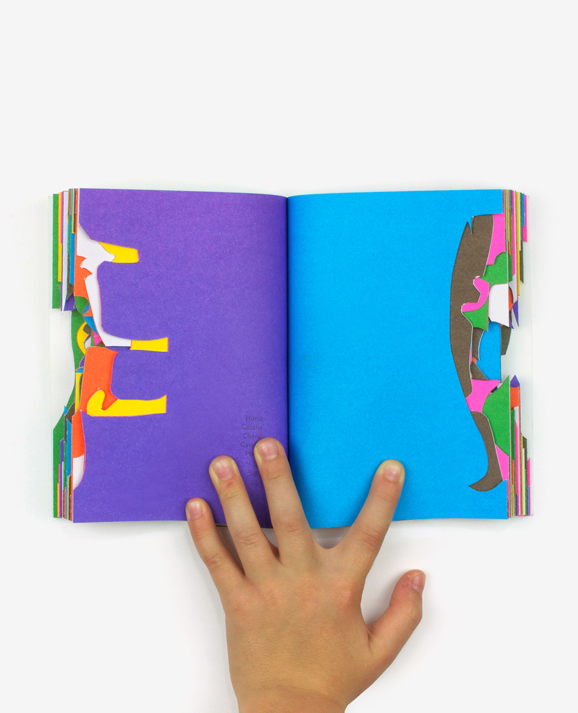 Zoo in my hand - Inkyeong & Sunkyung KIM – Image 10