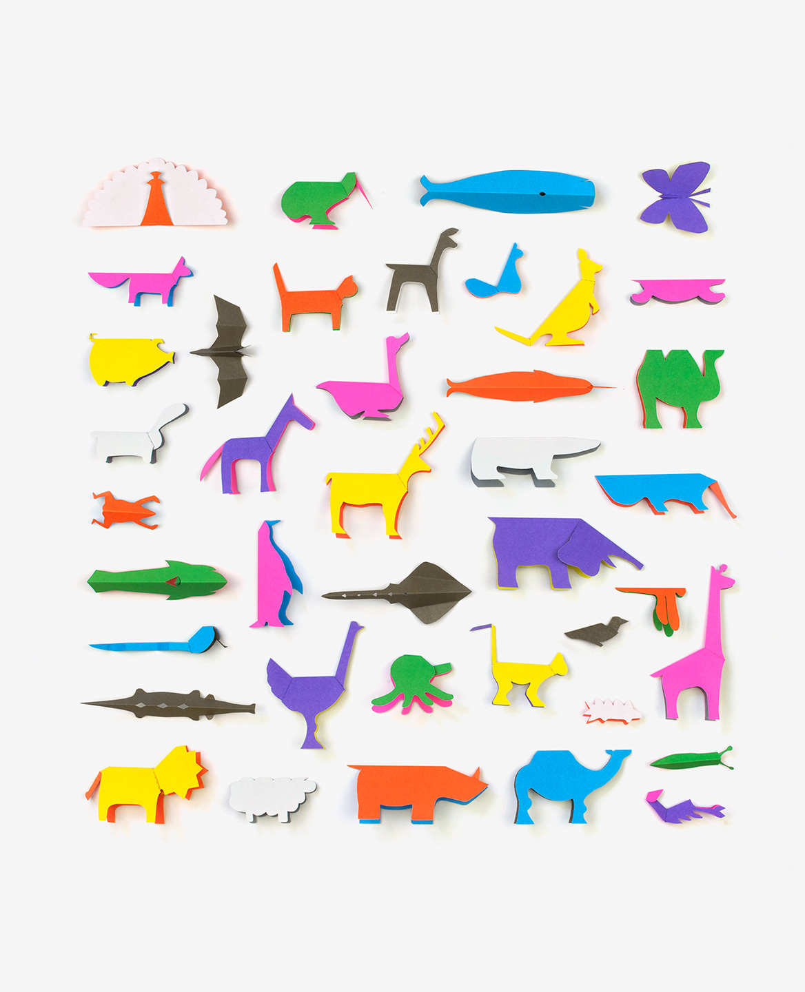 Zoo in my hand - Inkyeong & Sunkyung KIM – Image 11