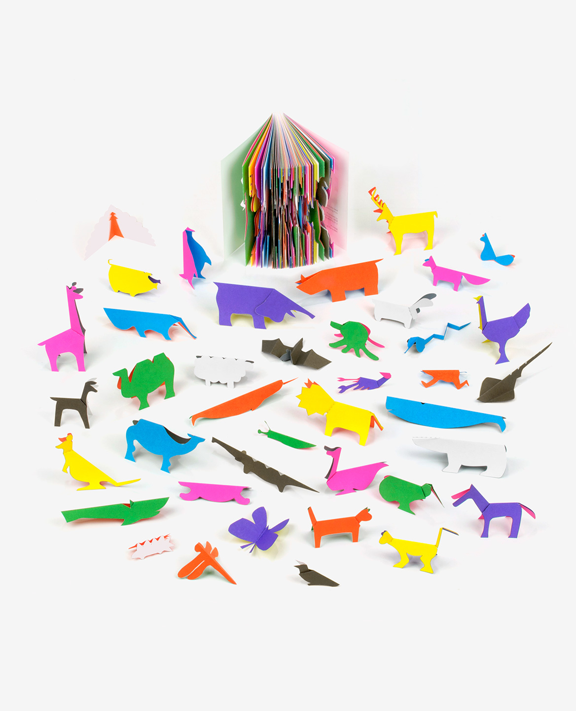Zoo in my hand - Inkyeong & Sunkyung KIM – Image 2