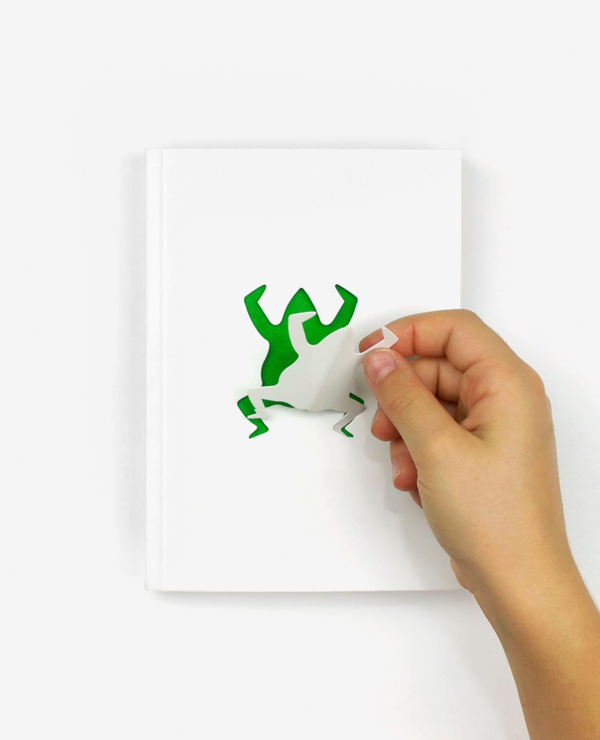 Zoo in my hand - Inkyeong & Sunkyung KIM – Image 5