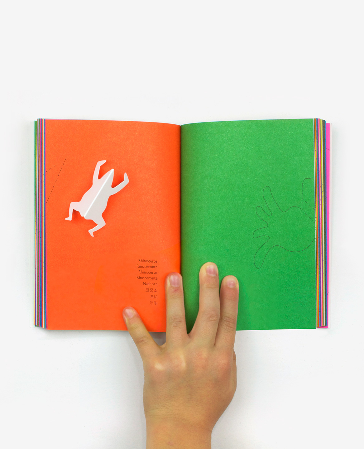 Zoo in my hand - Inkyeong & Sunkyung KIM – Image 6