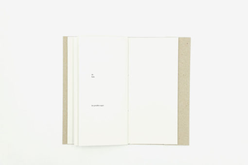 Auprès, au sein — Julien Van Anholt – Image 5