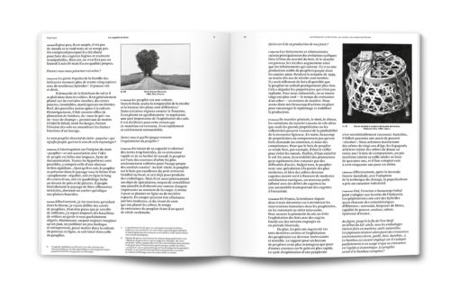 Typologie – La cagette en peuplier – Image 9