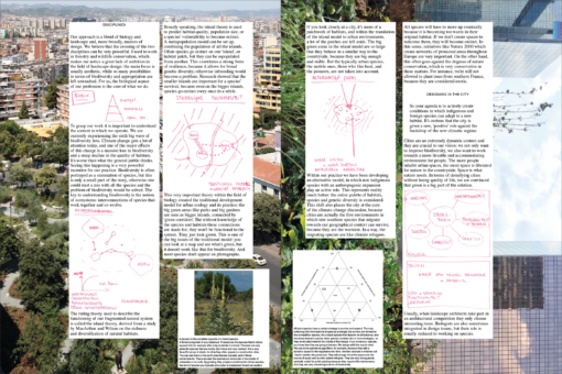 Accattone n° 06 - Coll. – Image 5