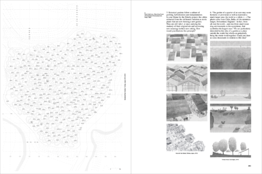 Accattone n° 06 - Coll. – Image 6
