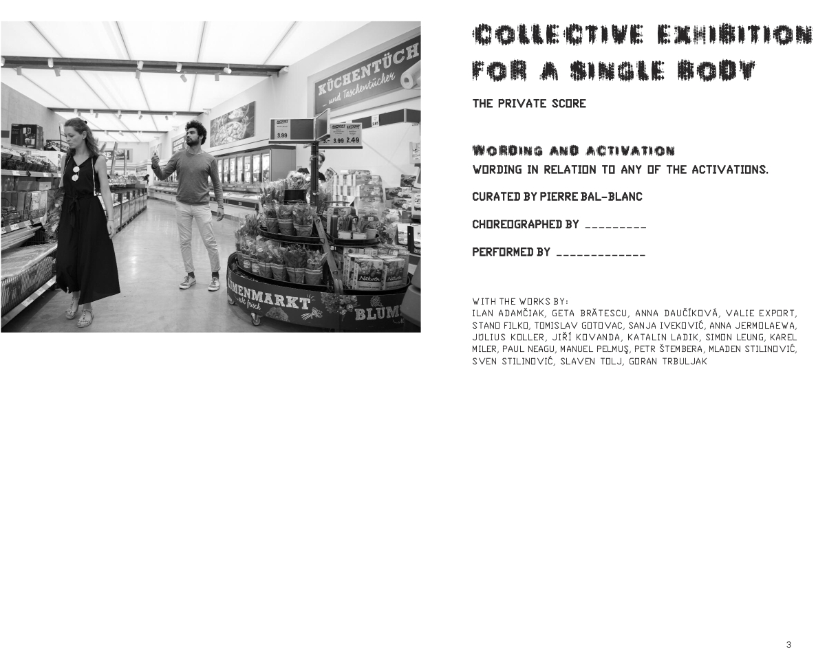 Collective Exhibition for a Single Body ... - Pierre Bal-Blanc – Image 2