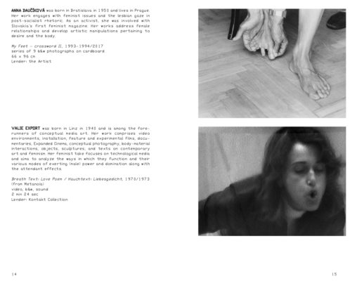 Collective Exhibition for a Single Body ... - Pierre Bal-Blanc – Image 3