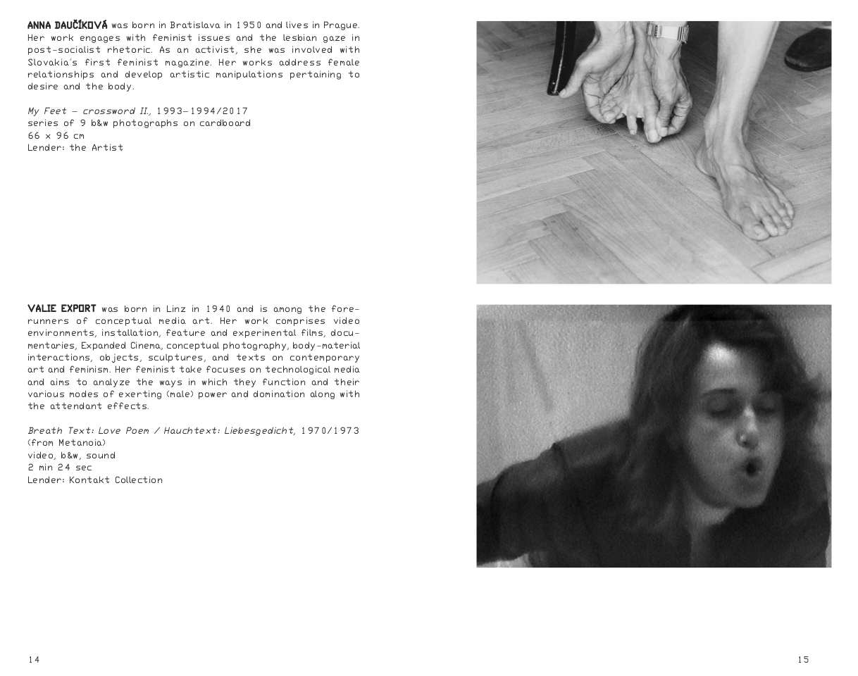 Collective Exhibition for a Single Body ... - Pierre Bal-Blanc – Image 3