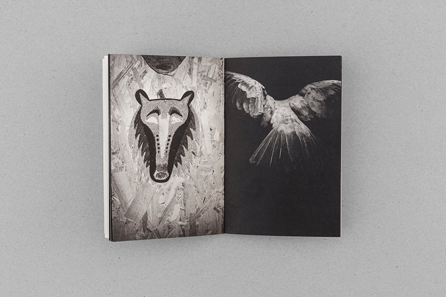 Survivalists - Léa Habourdin – Image 2