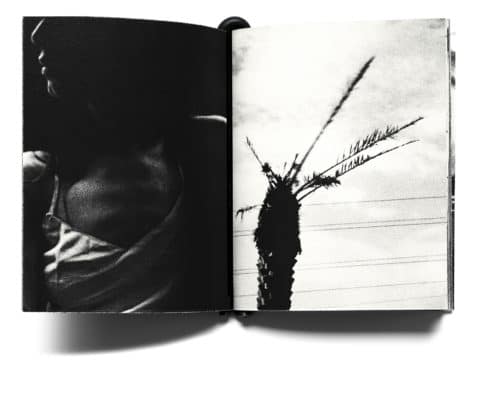 Romeo with a 'd' like rodeo nr (Algier issue) - Léa Abaroa – Image 5