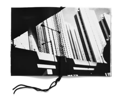Chinese city dying flower nr (chungking issue) - Léa Abaroa – Image 9