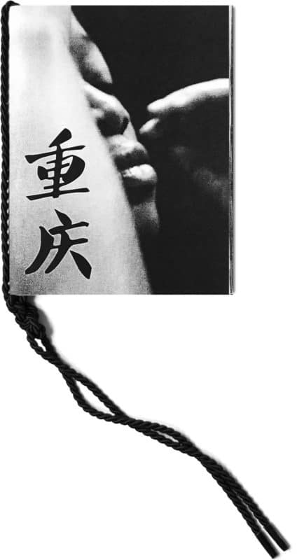 Chinese city dying flower nr (chungking issue) - Léa Abaroa – Image 2