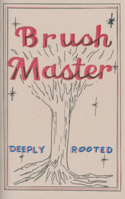 Brush Master - Jasper "Mississippi" Travis