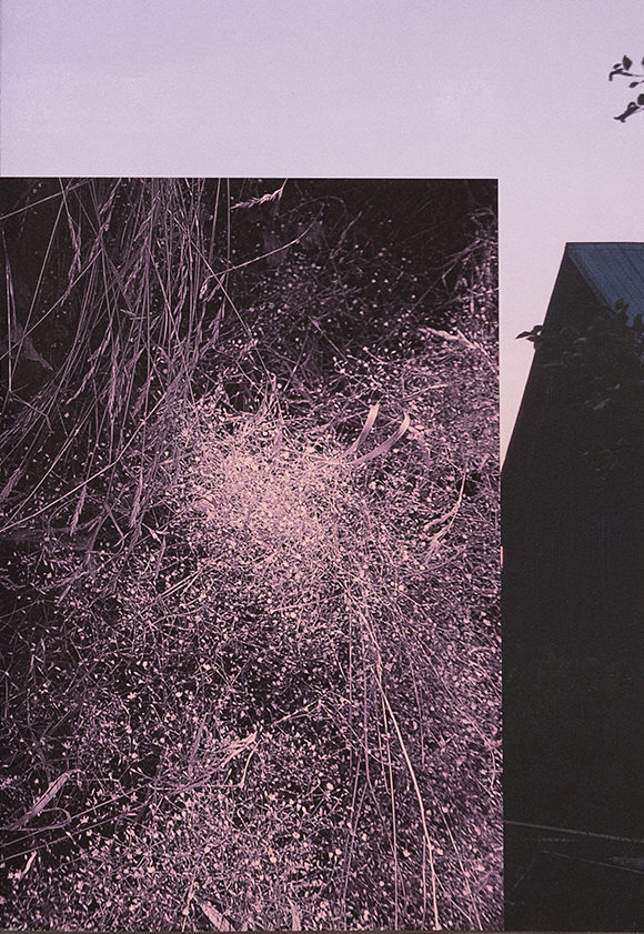Parmi - Sara A. Tremblay