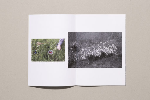 Parmi - Sara A. Tremblay – Image 2