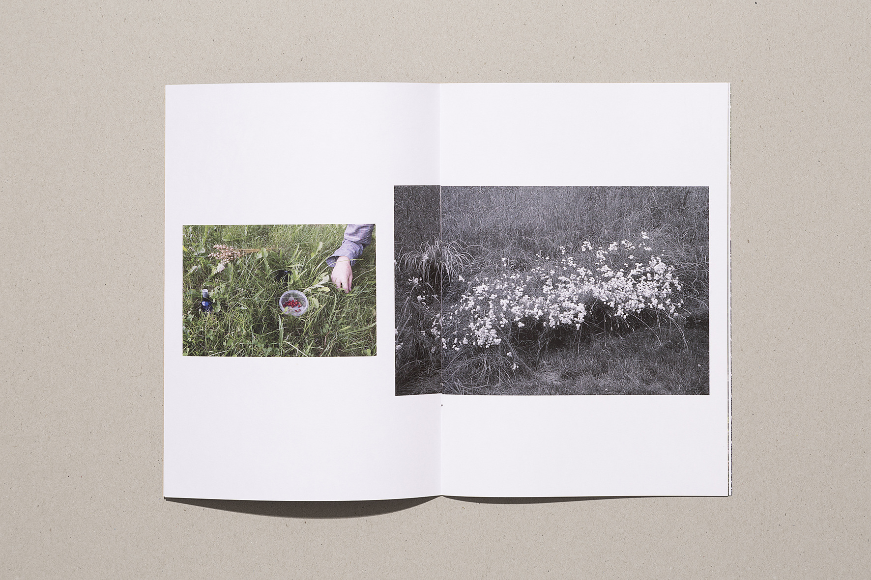 Parmi - Sara A. Tremblay – Image 2