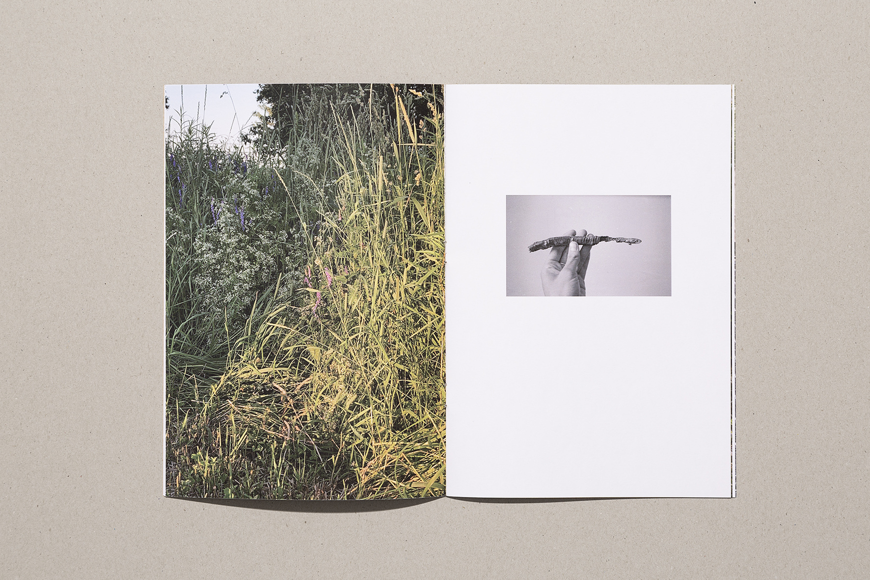 Parmi - Sara A. Tremblay – Image 3