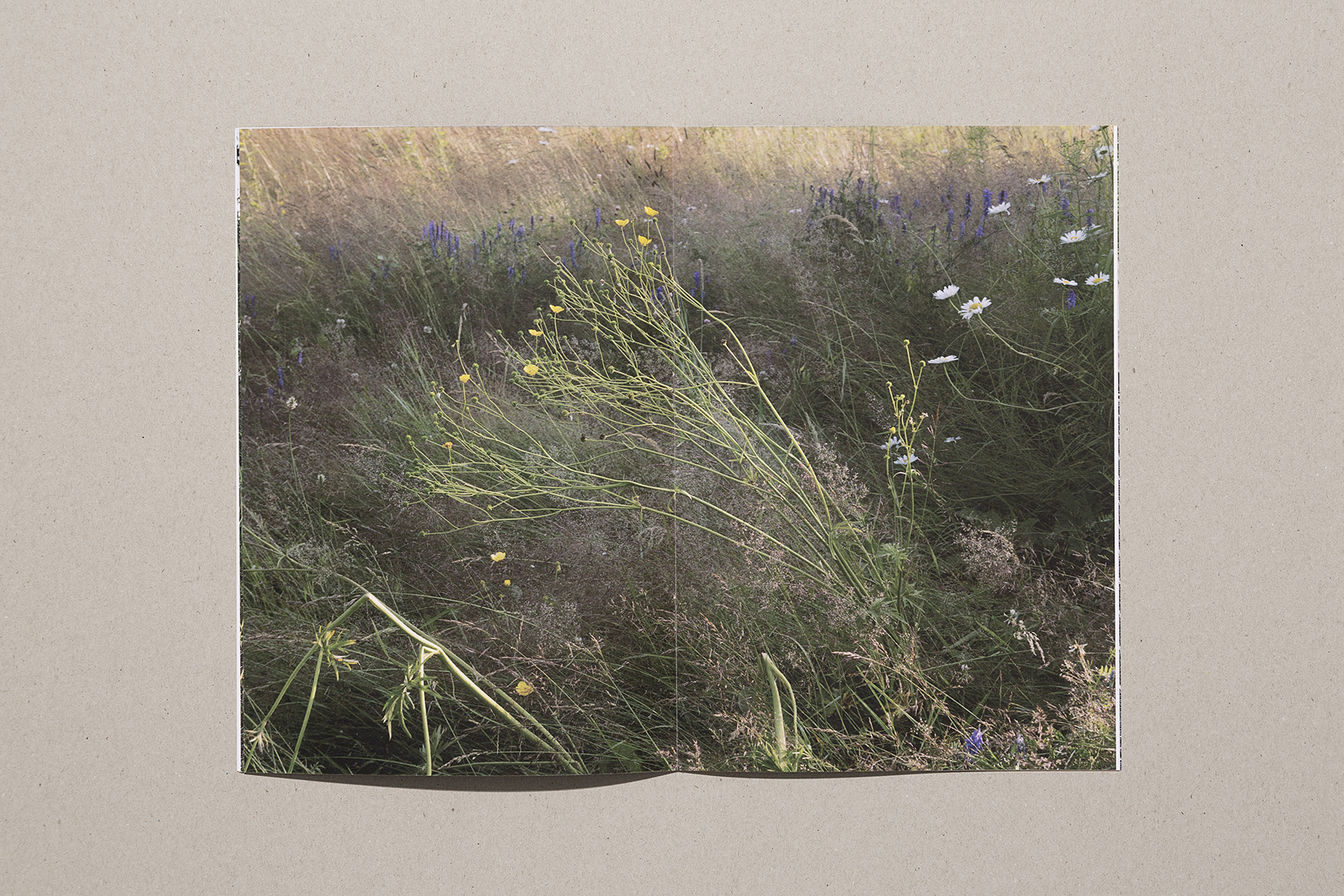 Parmi - Sara A. Tremblay – Image 4