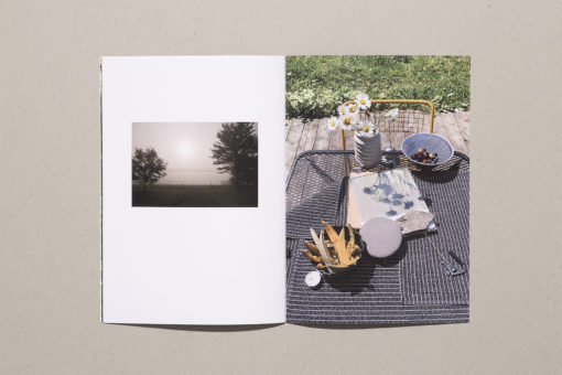 Parmi - Sara A. Tremblay – Image 5