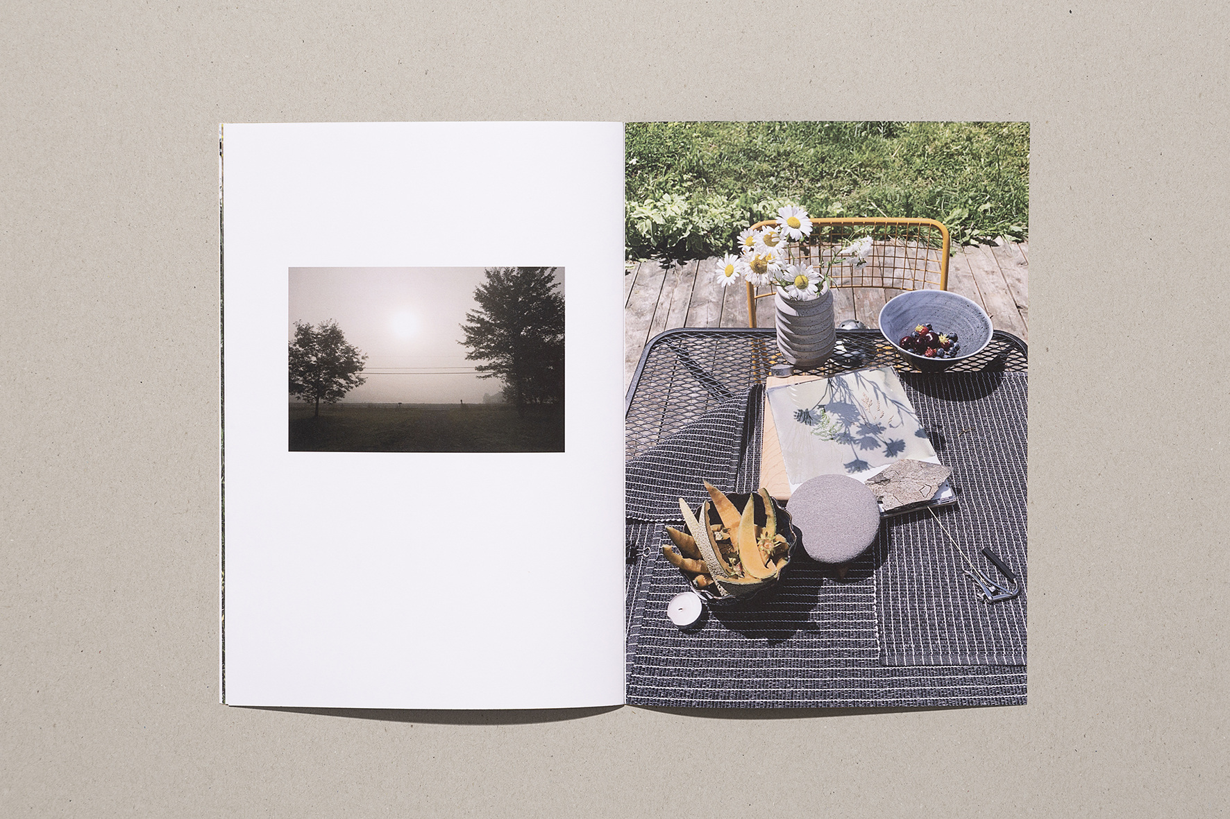 Parmi - Sara A. Tremblay – Image 5