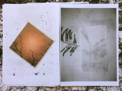 Solstice - Juliette Liautaud – Image 5
