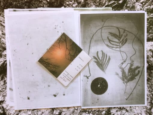 Solstice - Juliette Liautaud – Image 2
